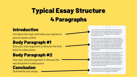 how much paragraphs are in an essay